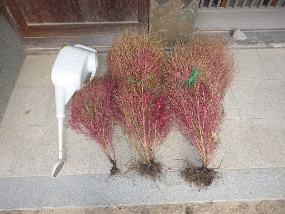 f:id:kon3815:20211126000949j:plain