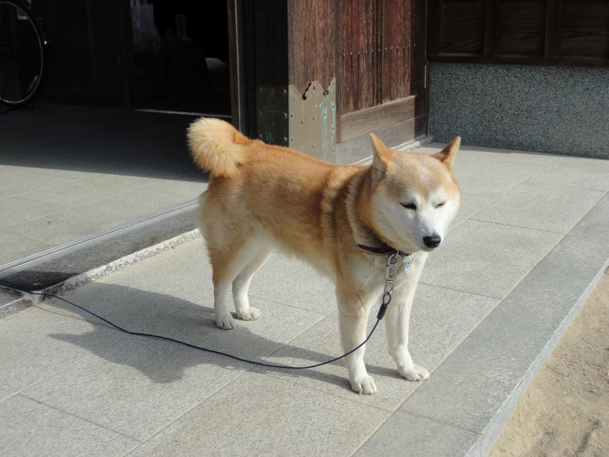 f:id:kon3815:20211126002022j:plain