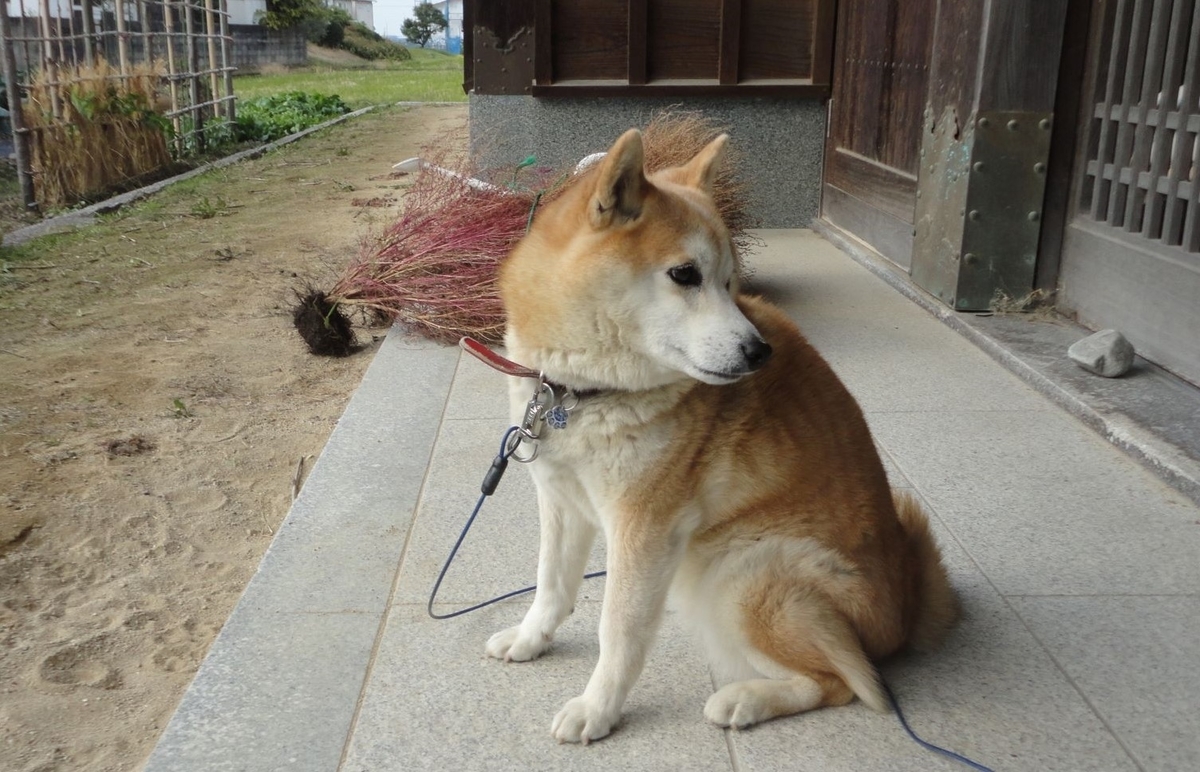 f:id:kon3815:20211126002143j:plain