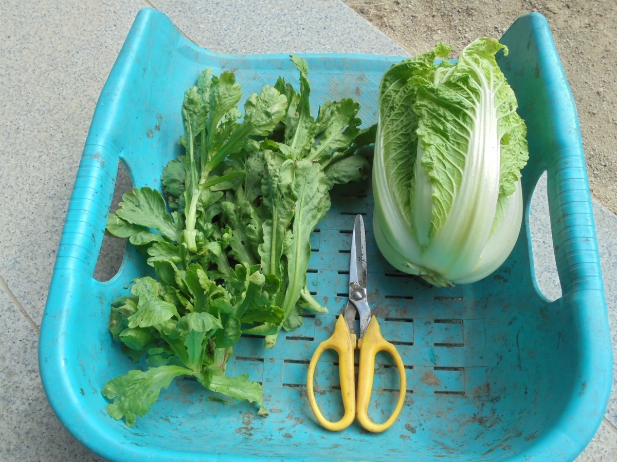 f:id:kon3815:20211224001833j:plain