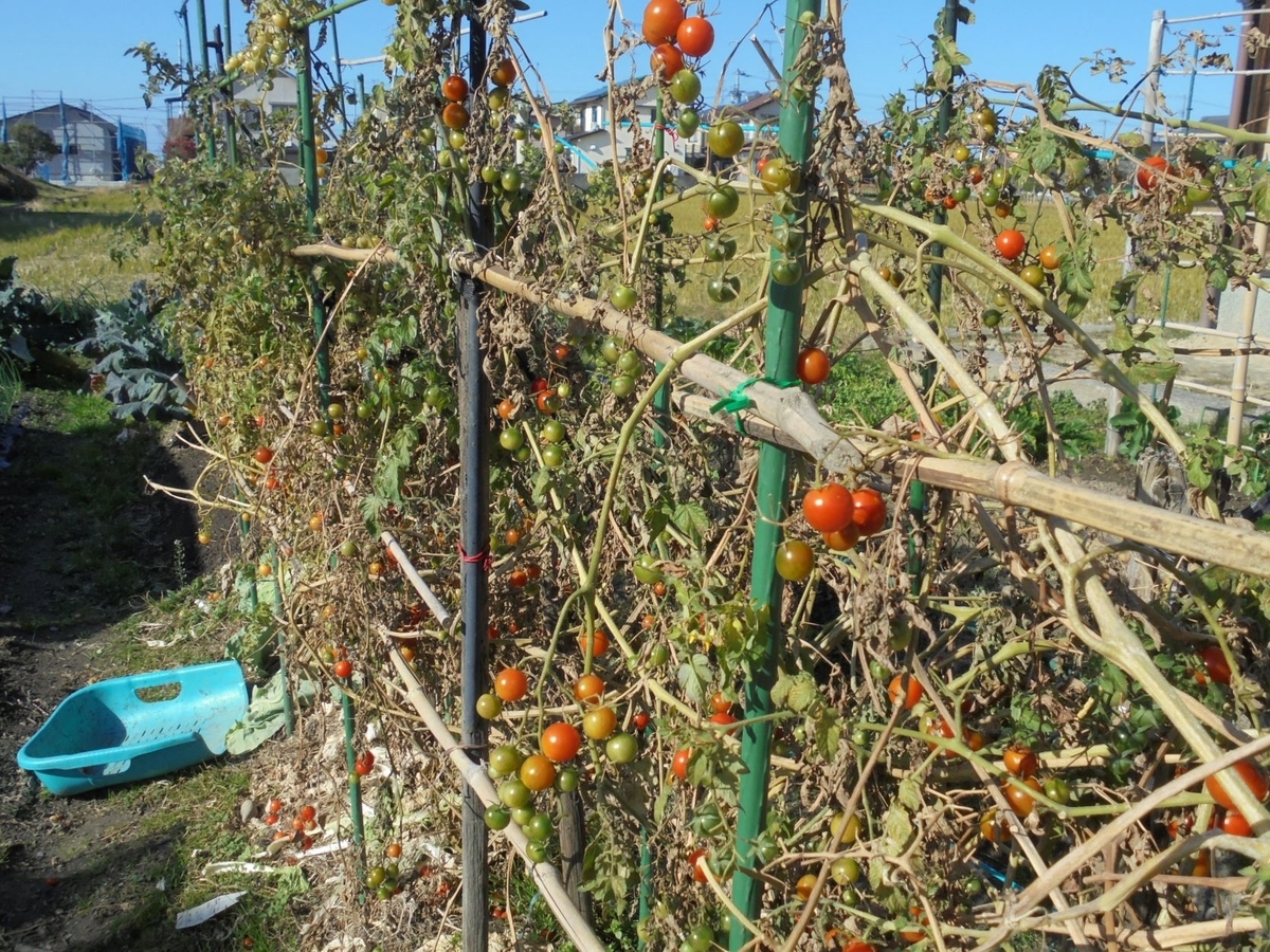 f:id:kon3815:20211226003145j:plain