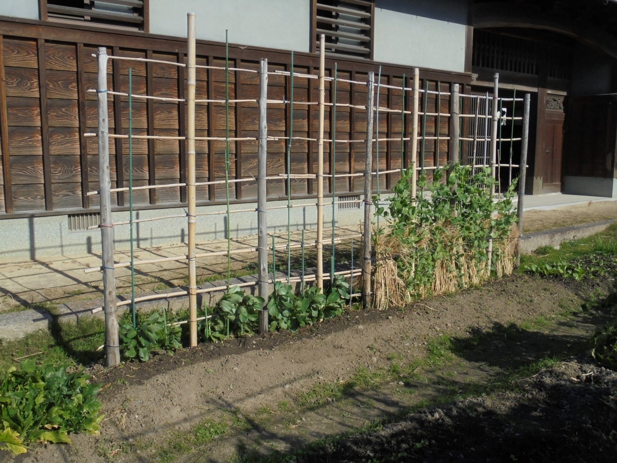 f:id:kon3815:20211226004023j:plain