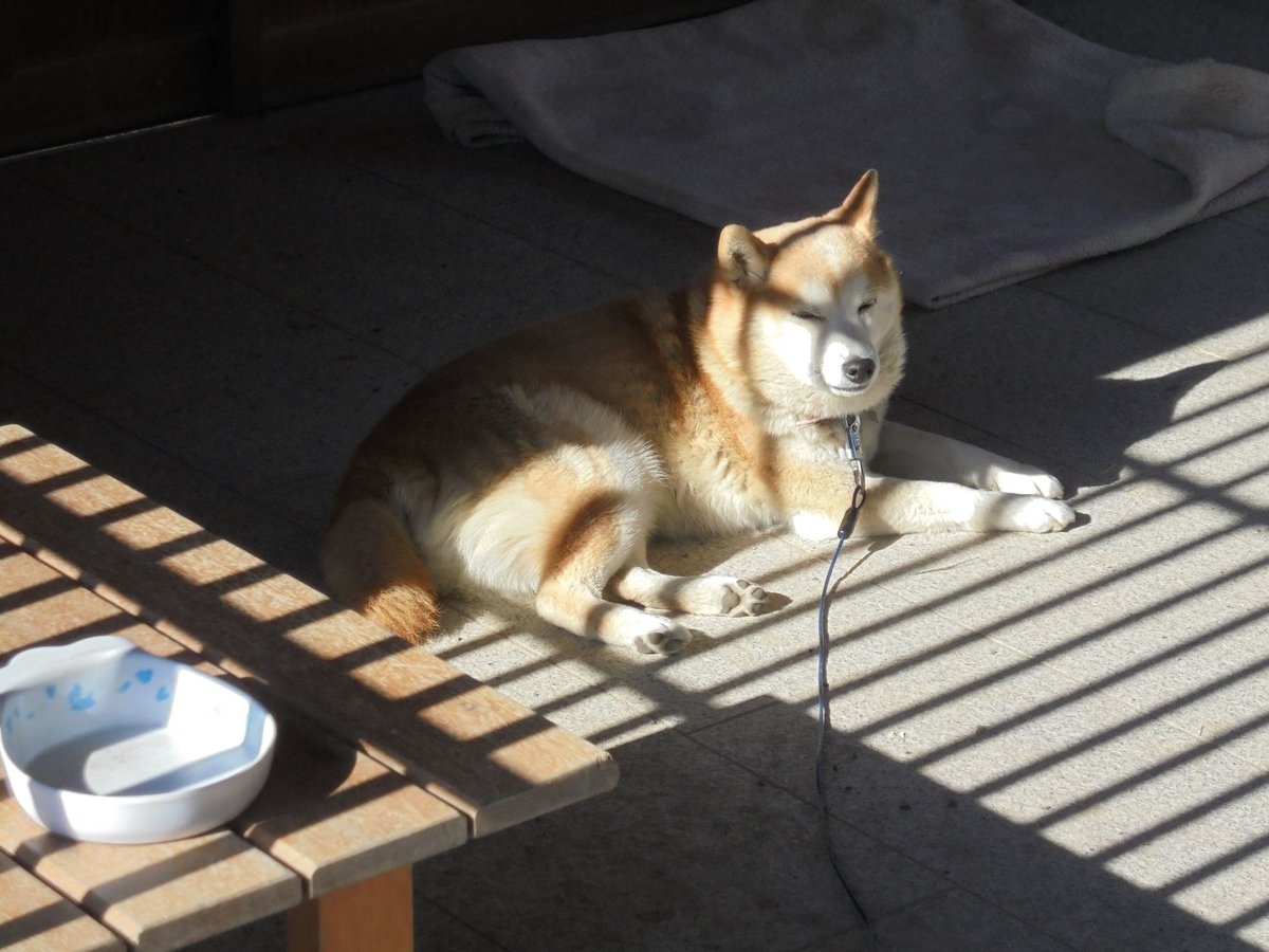 f:id:kon3815:20211226005242j:plain