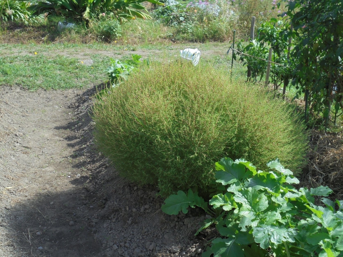 f:id:kon3815:20211227001747j:plain