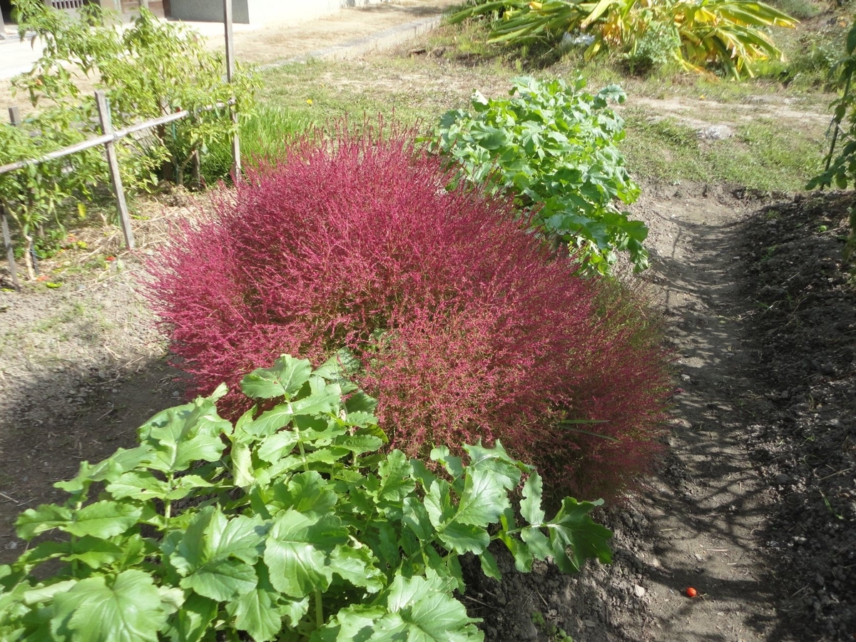 f:id:kon3815:20211227001909j:plain