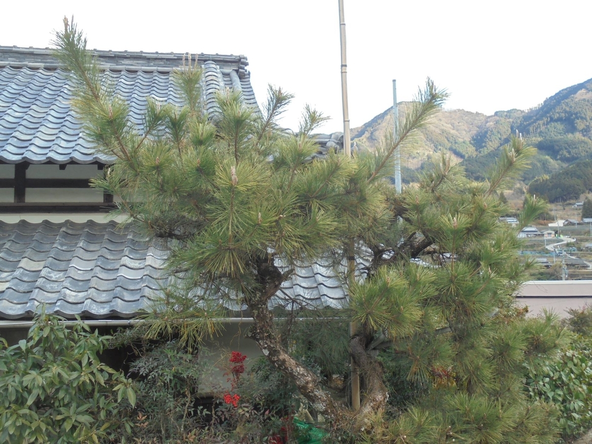 f:id:kon3815:20211228005531j:plain