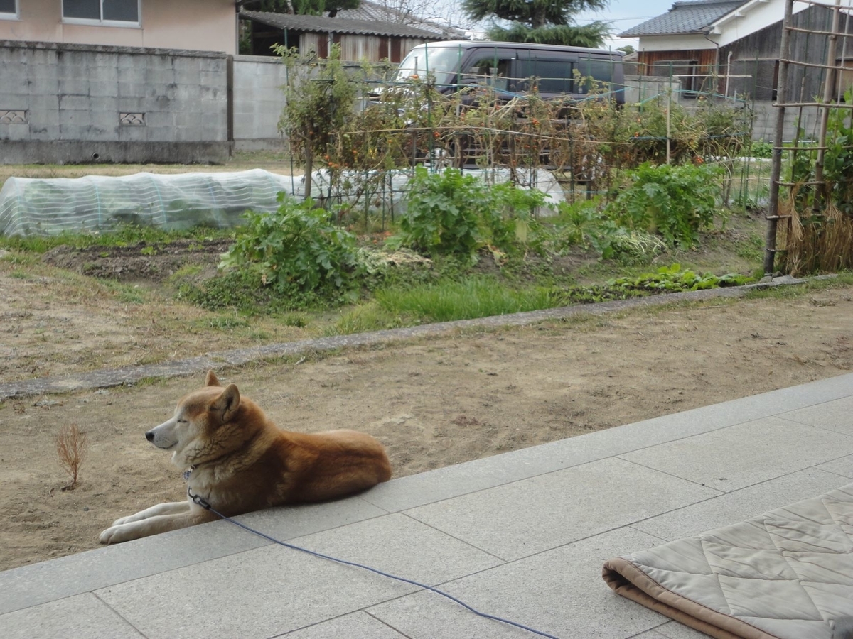 f:id:kon3815:20211230235143j:plain