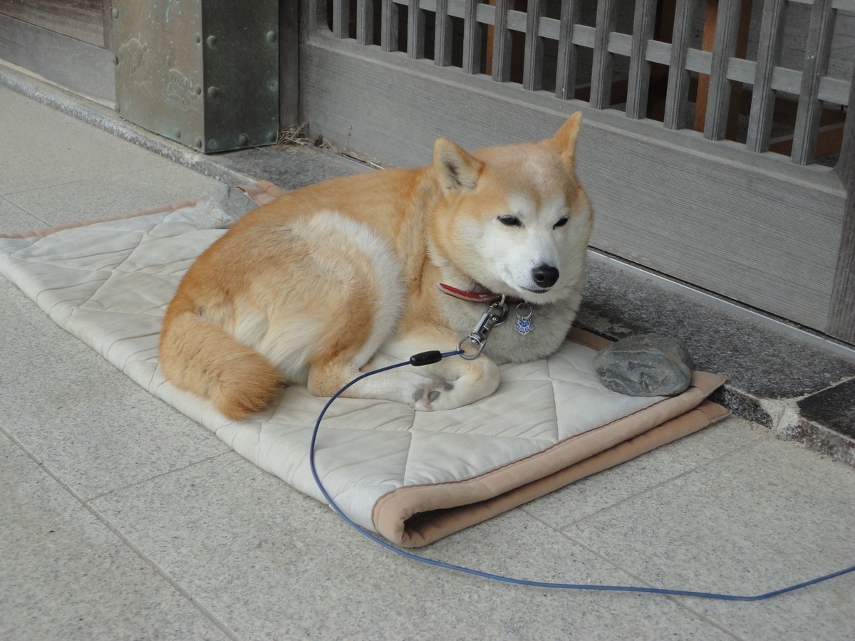 f:id:kon3815:20220103004740j:plain