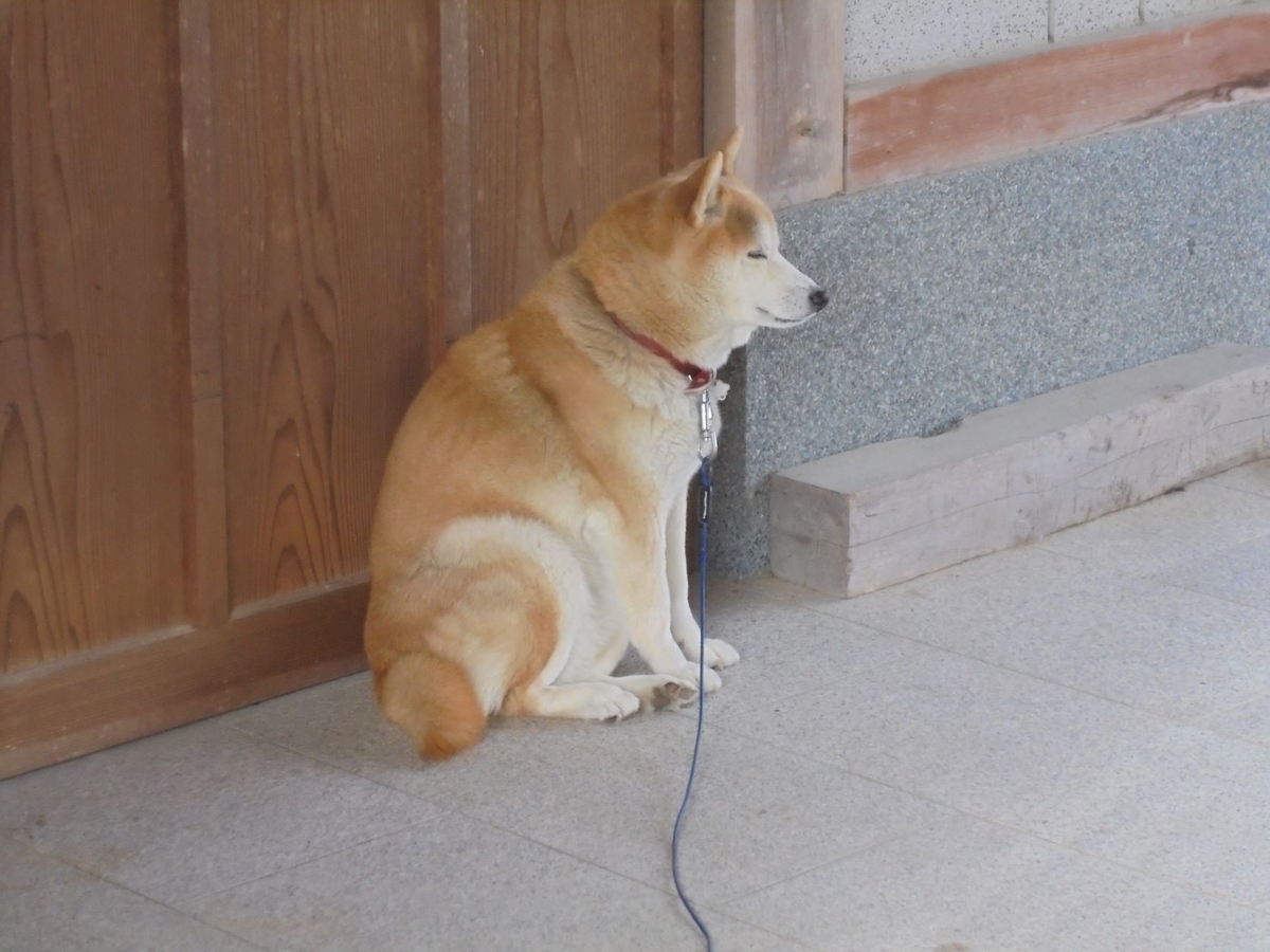f:id:kon3815:20220110002419j:plain
