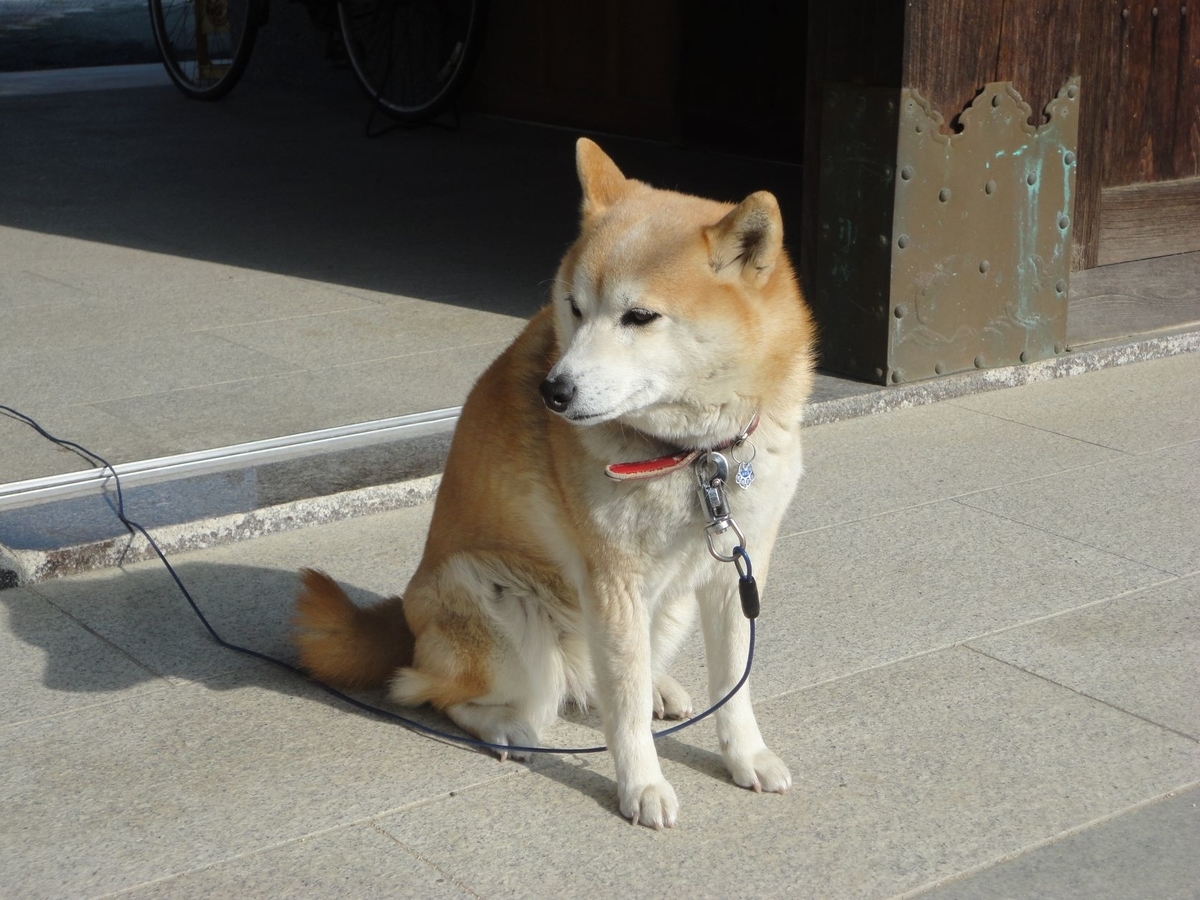 f:id:kon3815:20220116004543j:plain