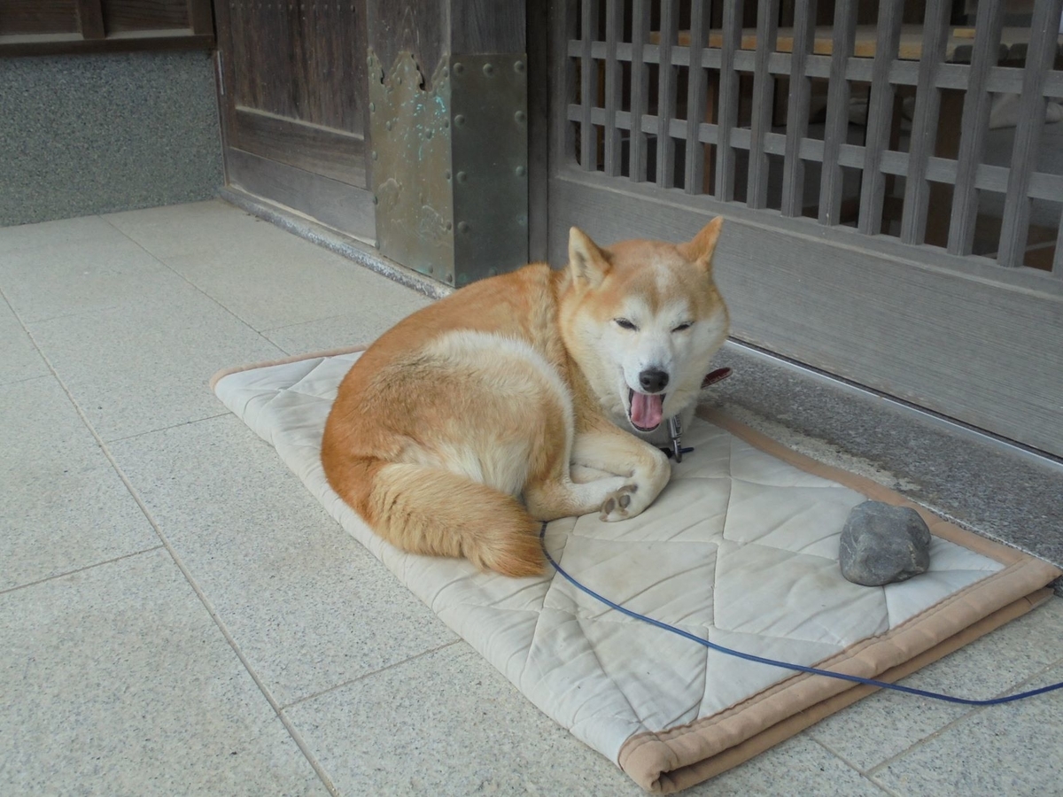 f:id:kon3815:20220126000603j:plain