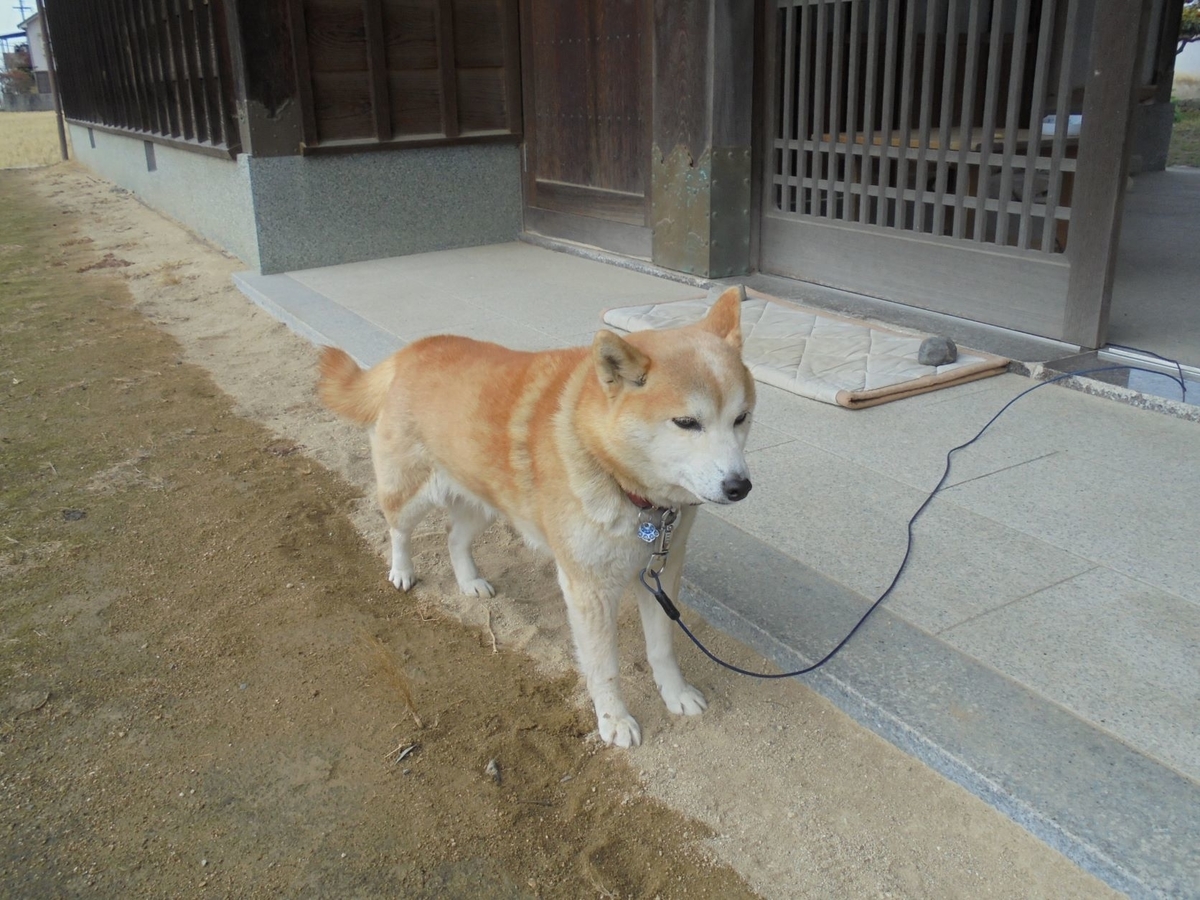 f:id:kon3815:20220126000802j:plain