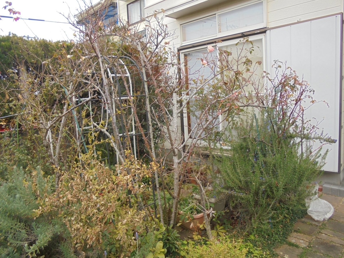 f:id:kon3815:20220130000435j:plain