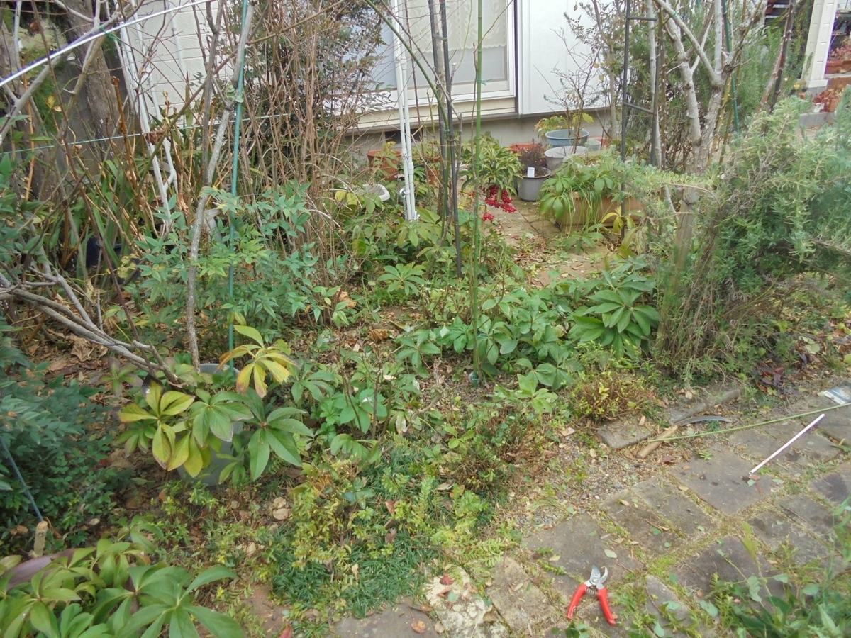 f:id:kon3815:20220130001542j:plain