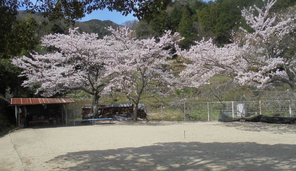 f:id:kon3815:20220402004623j:plain