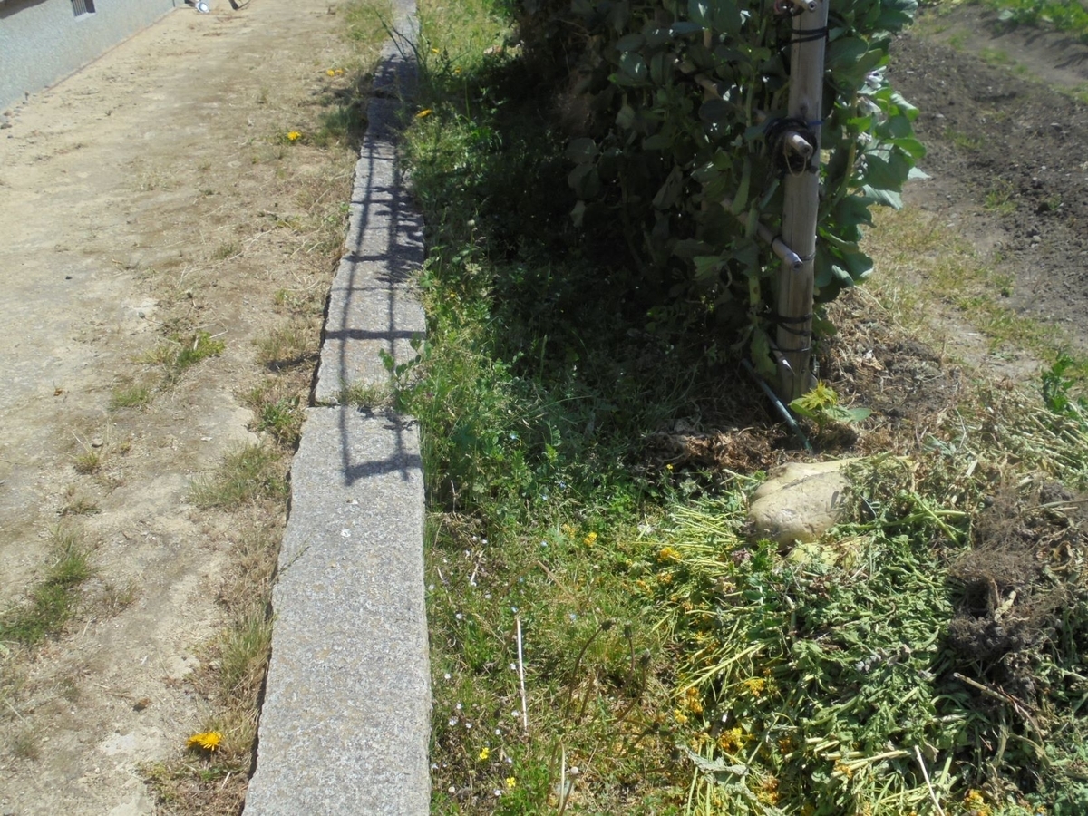 f:id:kon3815:20220411001441j:plain