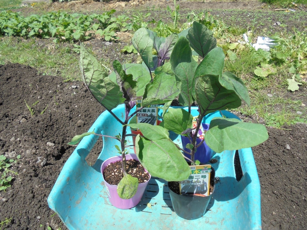 f:id:kon3815:20220418001636j:plain