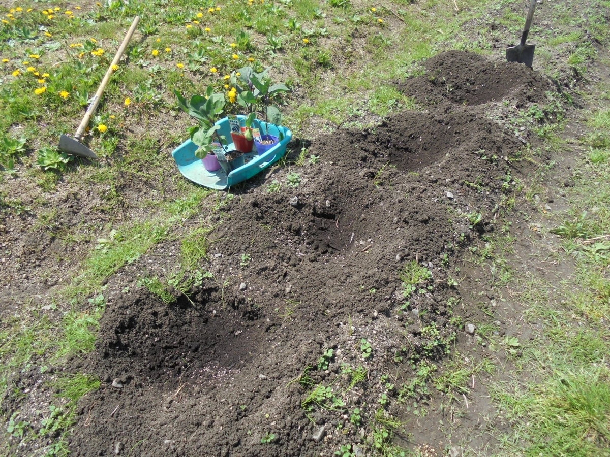 f:id:kon3815:20220418001747j:plain