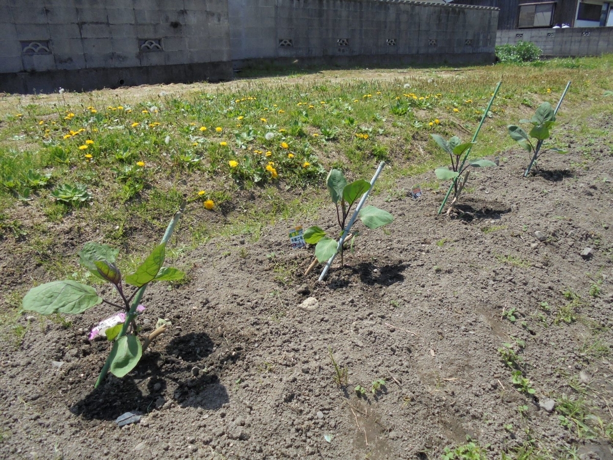 f:id:kon3815:20220418002120j:plain