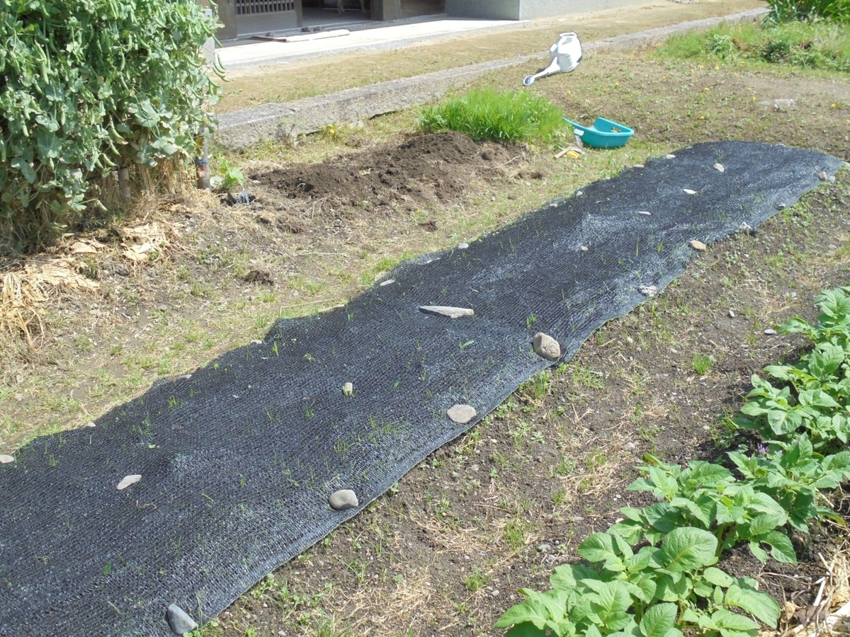 f:id:kon3815:20220418002239j:plain