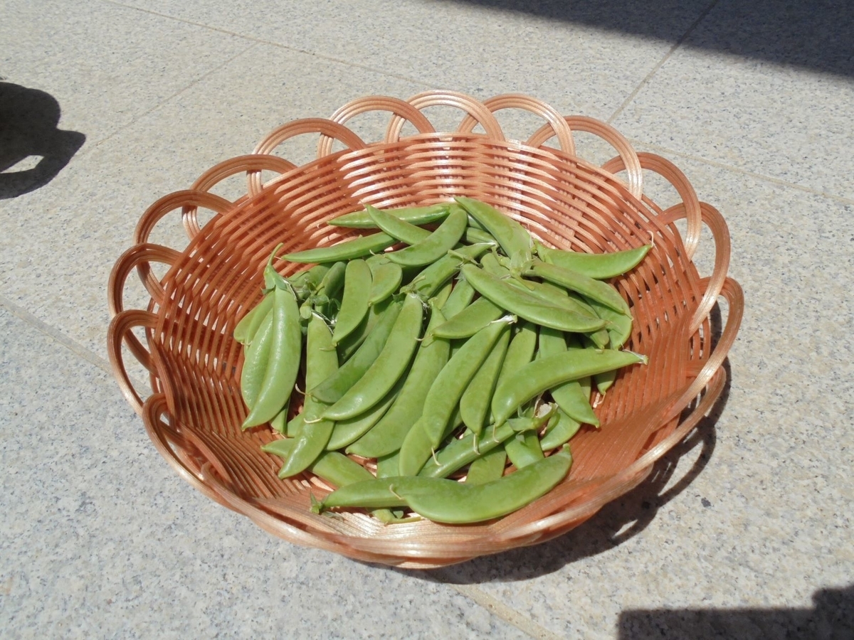 f:id:kon3815:20220418002730j:plain