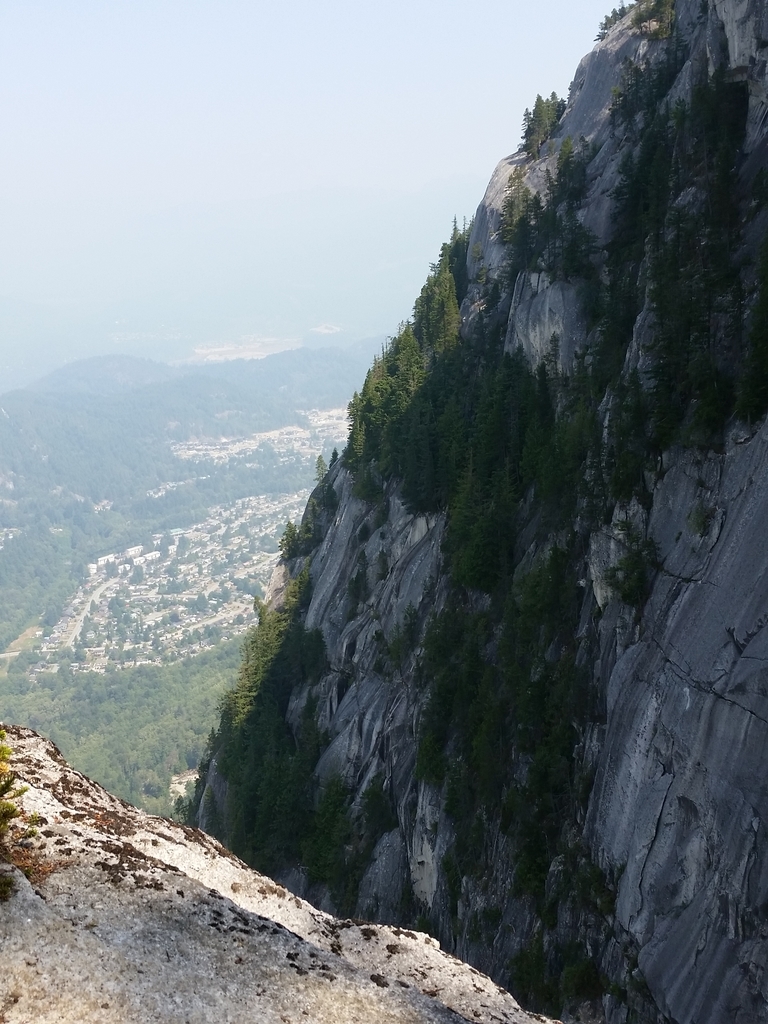 f:id:kon_van:20180829212506j:plain f:id:kon_van:20180829212506j:plain
