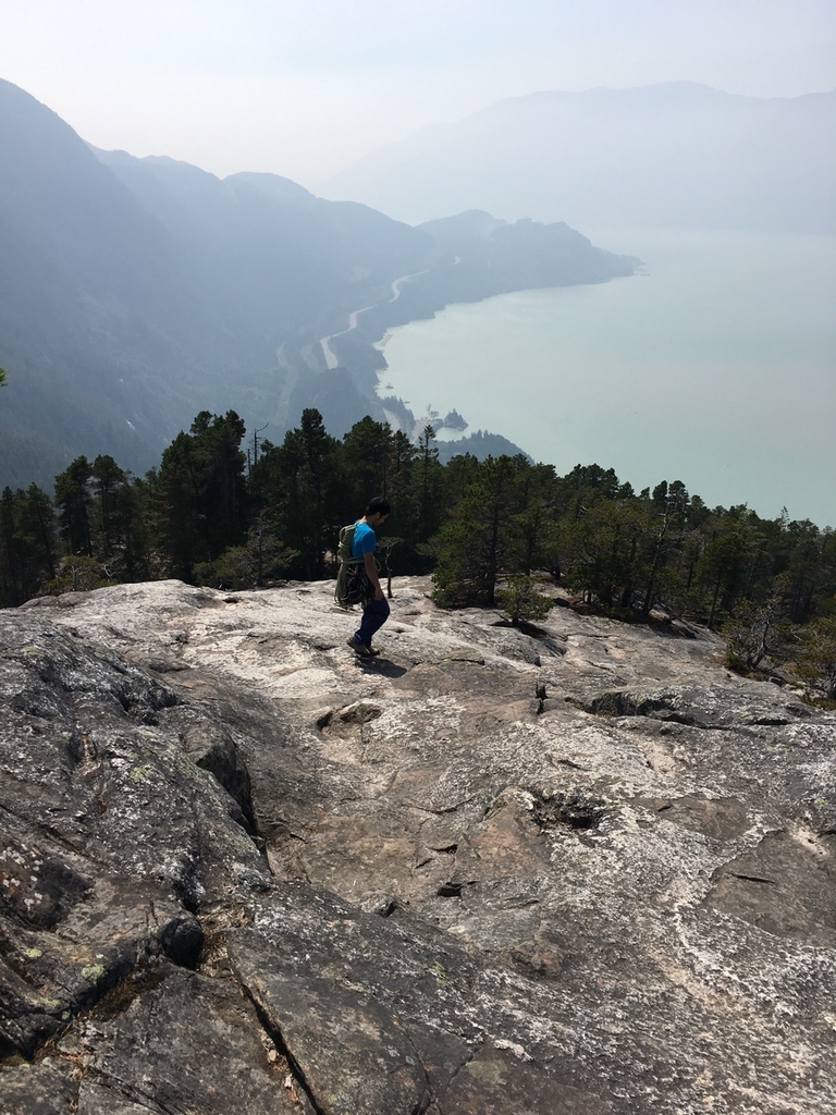 f:id:kon_van:20180829213046j:plain f:id:kon_van:20180829213046j:plain
