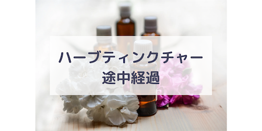 ハーブティンクチャー 途中経過 - こなあそび