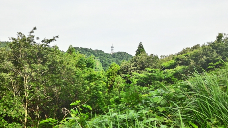 f:id:kona-c:20170618073857j:image