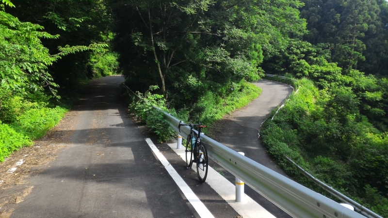f:id:kona-c:20170618074642j:image