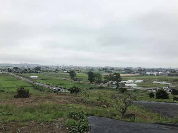 f:id:kona572:20200803212219j:plain