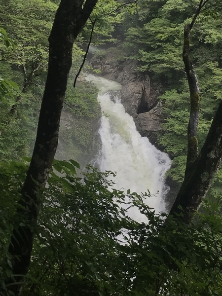 f:id:kona572:20200904212836j:plain