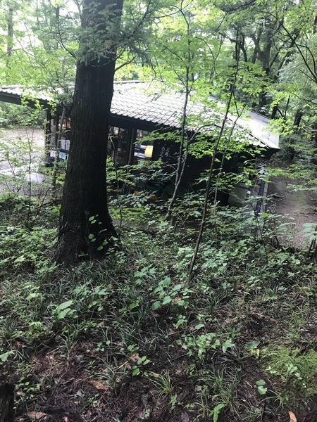 f:id:kona572:20200904212850j:plain