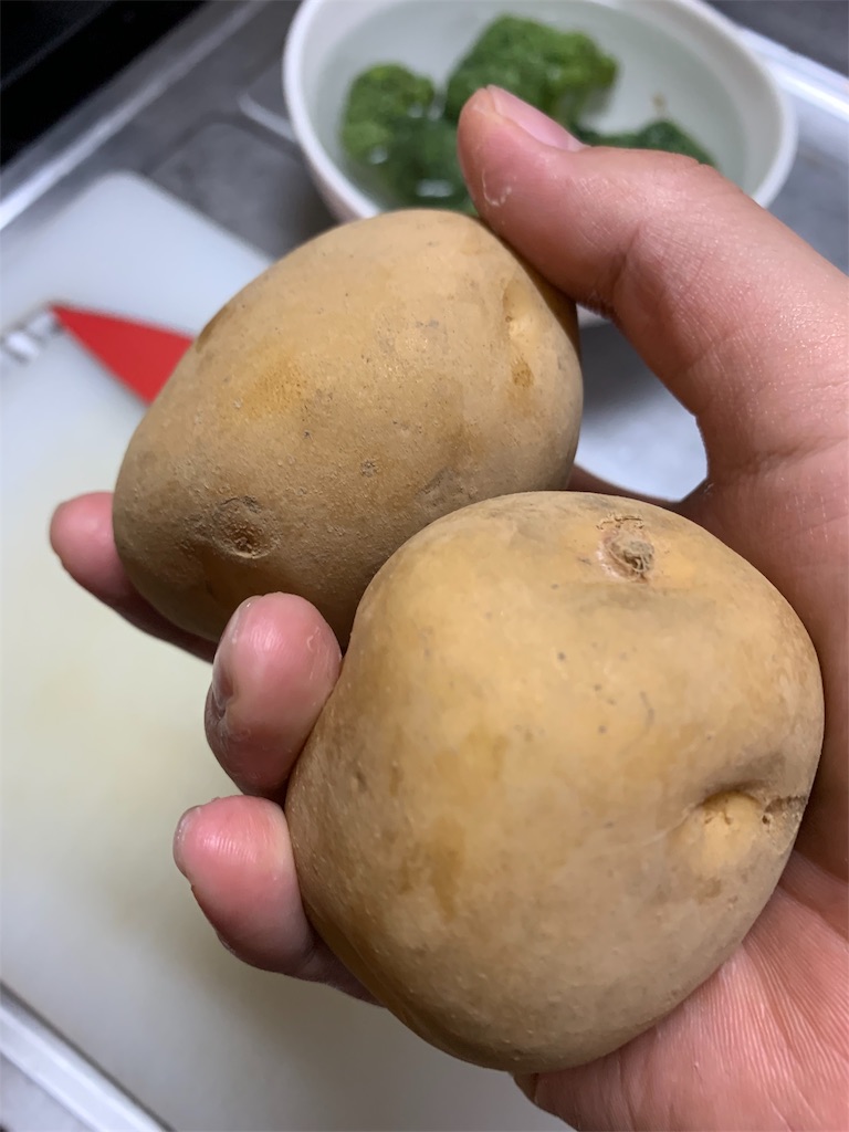 f:id:kona_c-x_f:20190120152255j:image