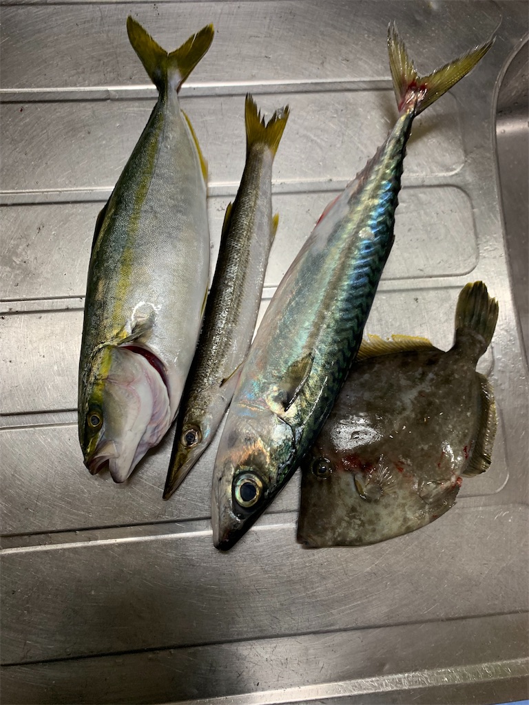 f:id:kona_c-x_f:20190630132646j:image f:id:kona_c-x_f:20190630132646j:image