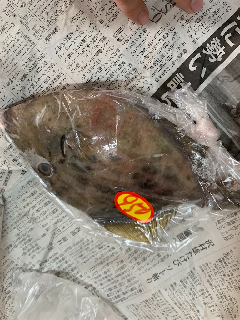 f:id:kona_c-x_f:20191028123530j:image f:id:kona_c-x_f:20191028123530j:image