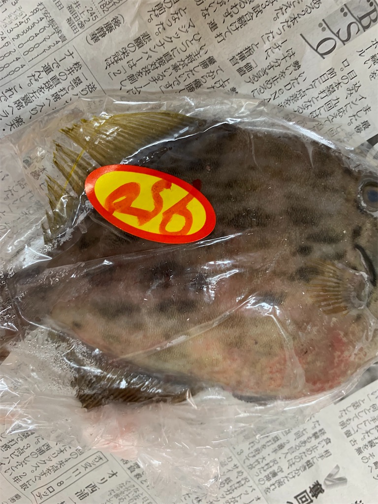f:id:kona_c-x_f:20191028123541j:image f:id:kona_c-x_f:20191028123541j:image