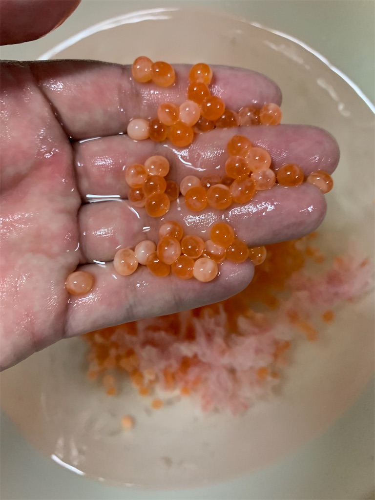 f:id:kona_c-x_f:20200914200439j:image f:id:kona_c-x_f:20200914200439j:image