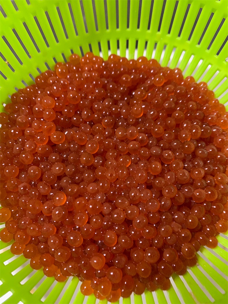 f:id:kona_c-x_f:20200914200449j:image f:id:kona_c-x_f:20200914200449j:image