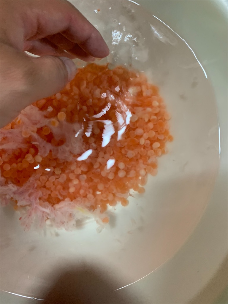 f:id:kona_c-x_f:20200914200458j:image f:id:kona_c-x_f:20200914200458j:image