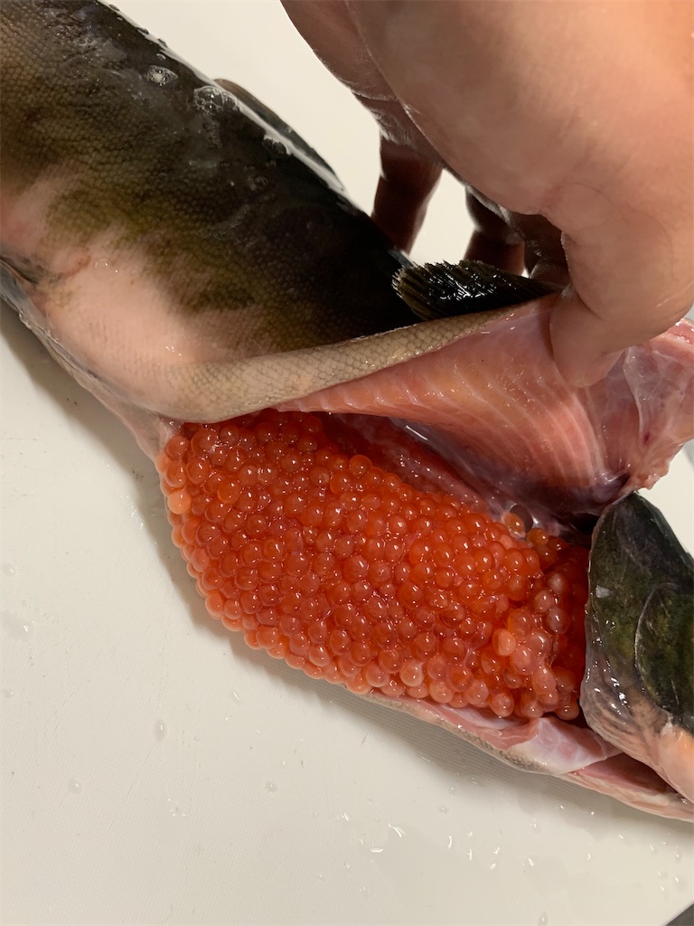 f:id:kona_c-x_f:20200914200504j:image f:id:kona_c-x_f:20200914200504j:image