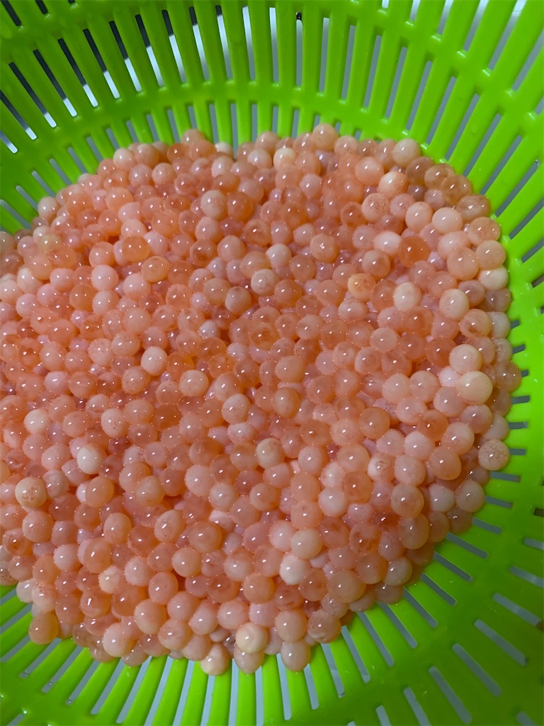 f:id:kona_c-x_f:20200914200524j:image f:id:kona_c-x_f:20200914200524j:image