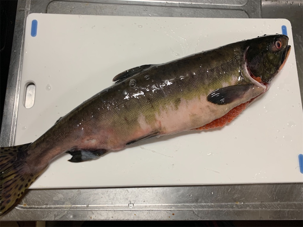 f:id:kona_c-x_f:20200914201711j:image f:id:kona_c-x_f:20200914201711j:image