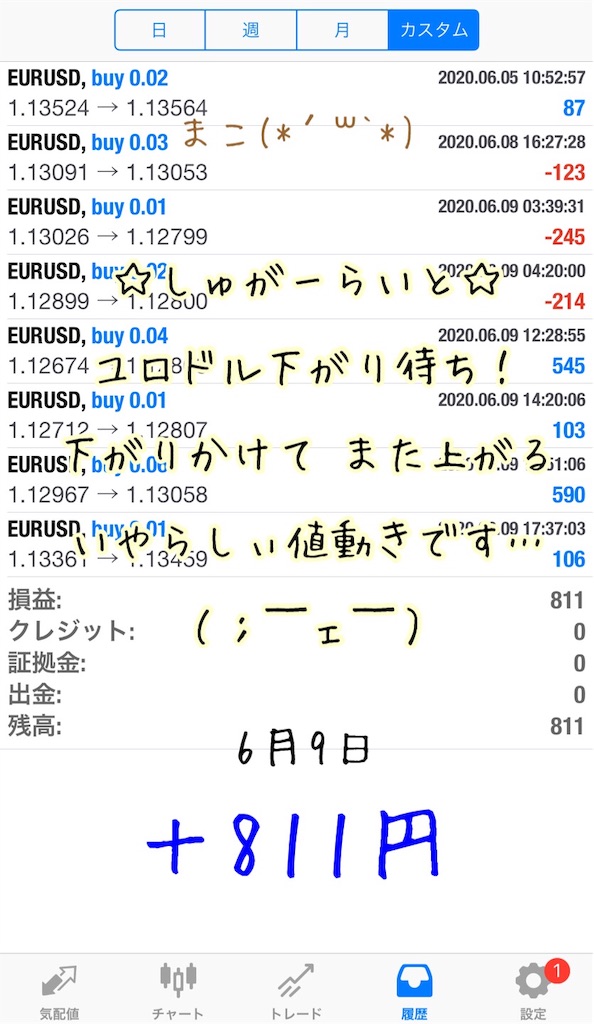 f:id:konachi:20200610112841j:image