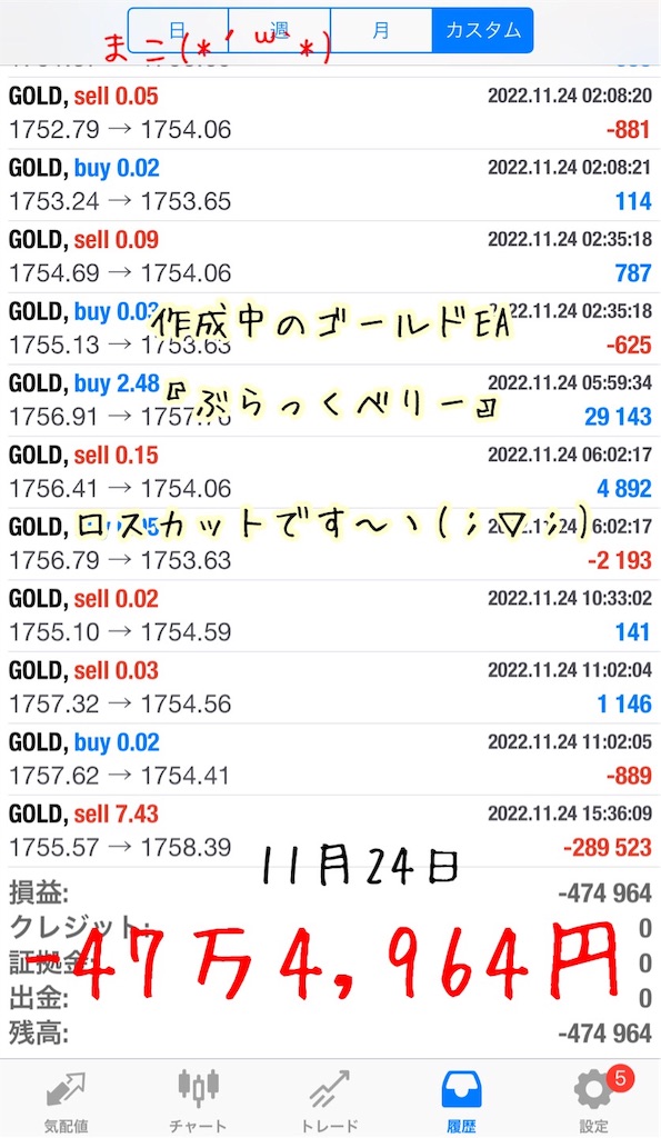 f:id:konachi:20221125123005j:image