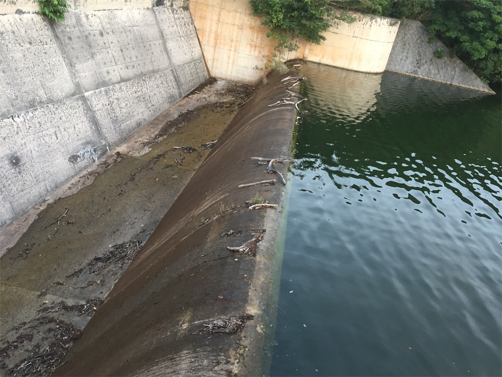 f:id:konagurisue:20190701164524j:image f:id:konagurisue:20190701164524j:image