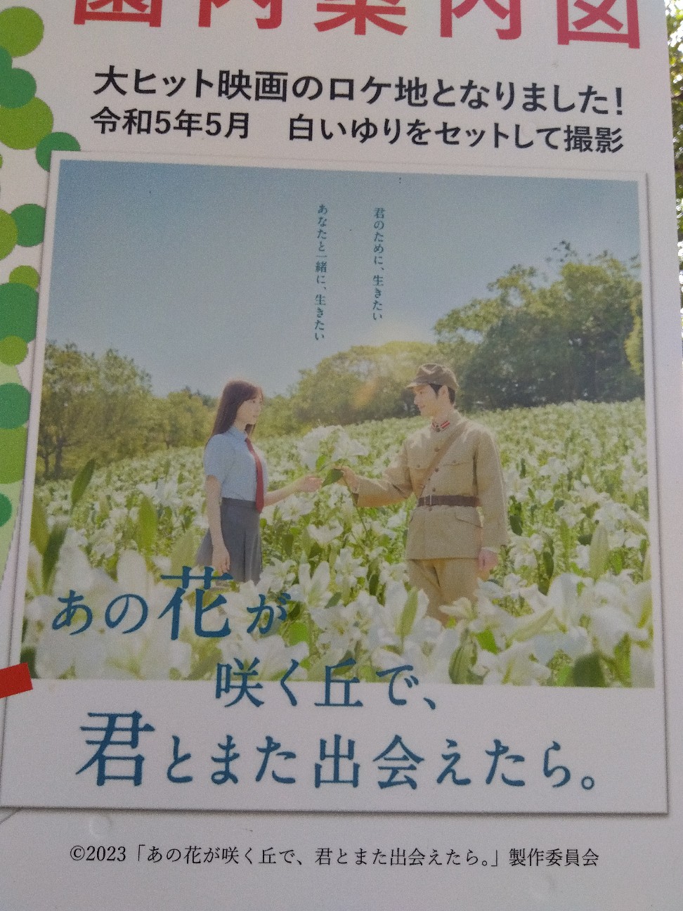 f:id:konami573kun:20260613165906j:image