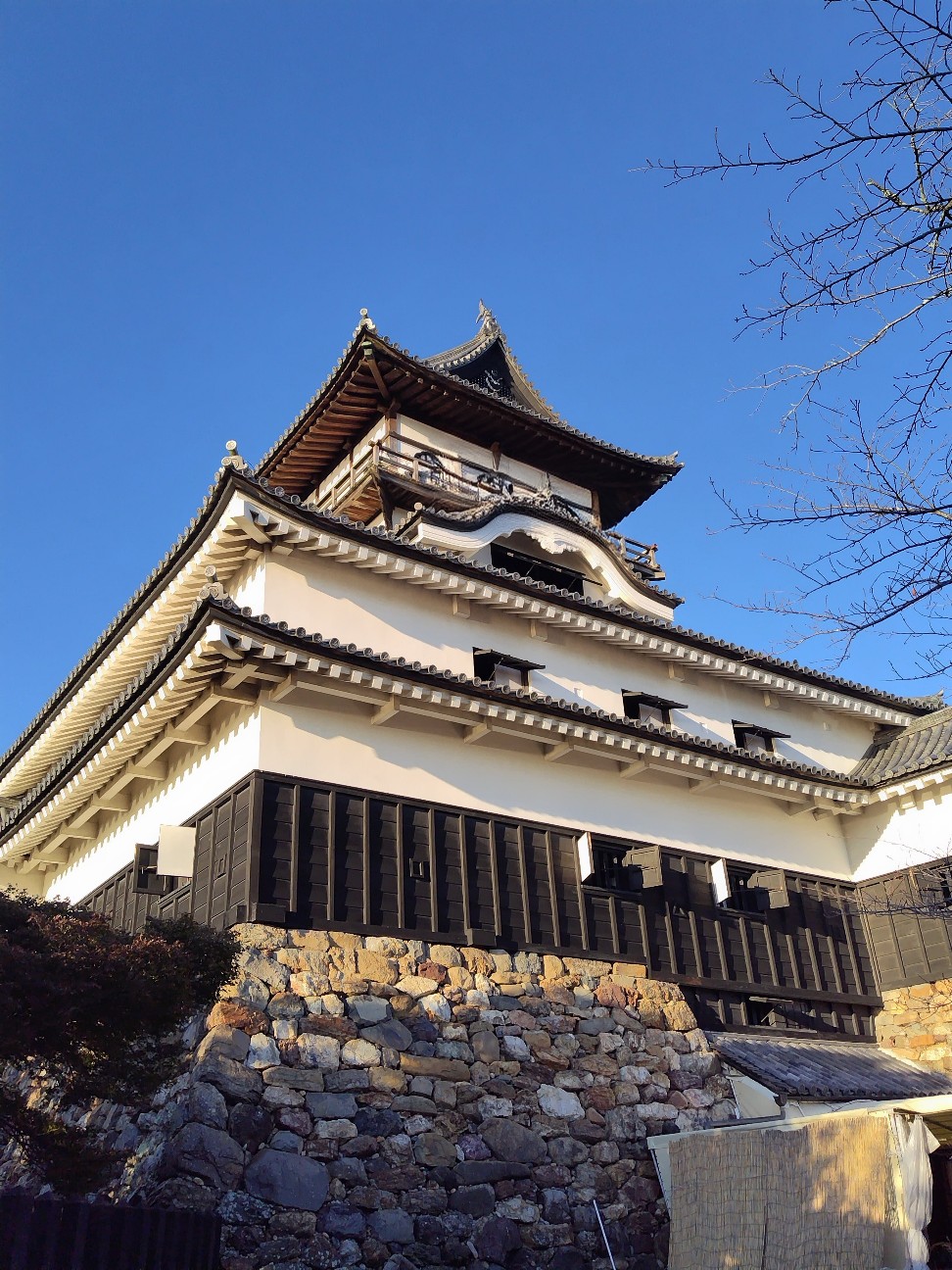f:id:konamioonami:20260121155425j:image