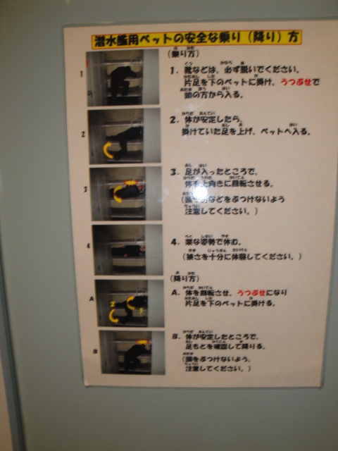 イメージ 5