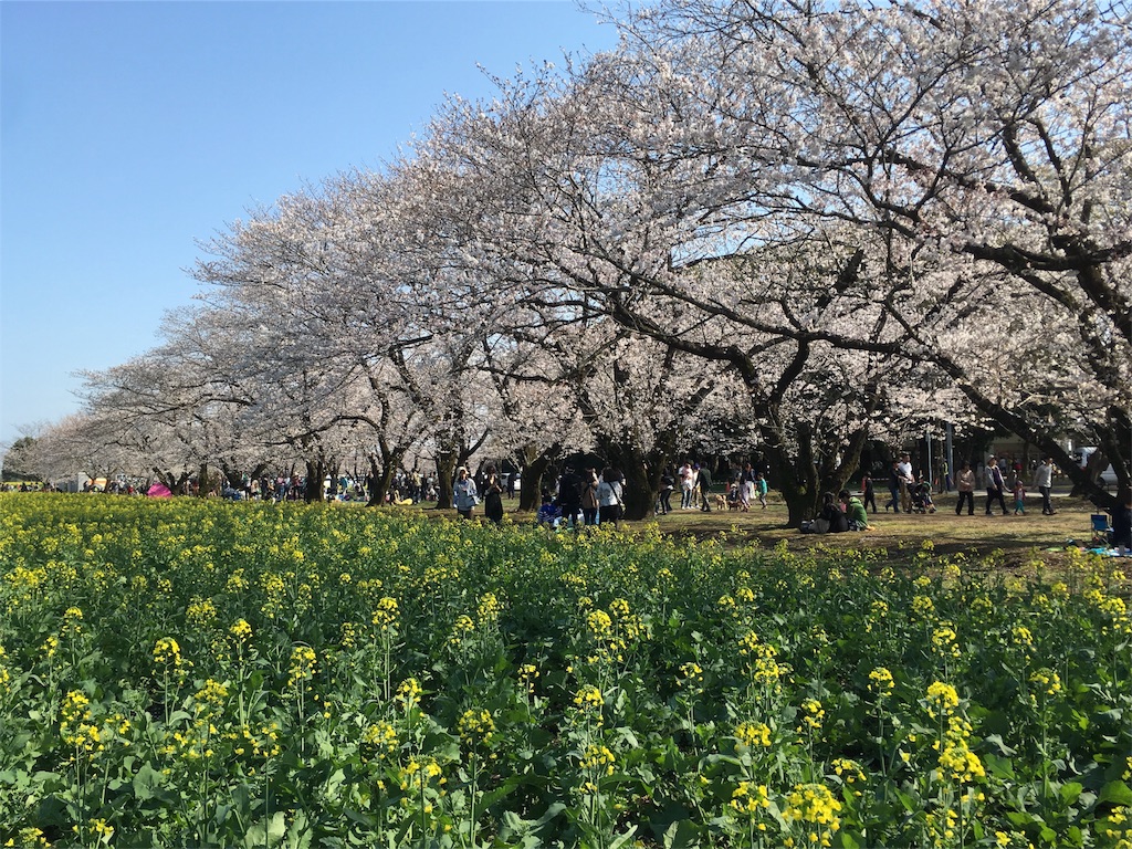 f:id:konapower:20180520143921j:image f:id:konapower:20180520143921j:image